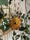 Lion Necklace